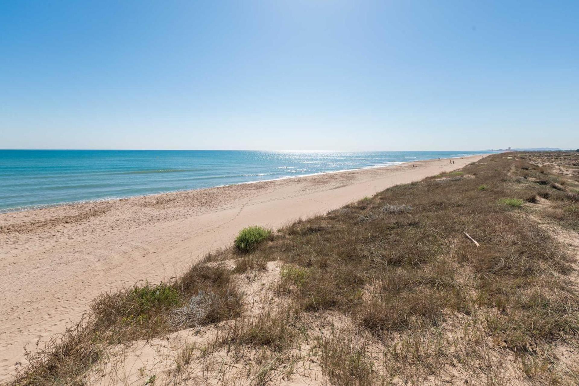 Albufera Dreams Nature Suites Valencia Exterior photo